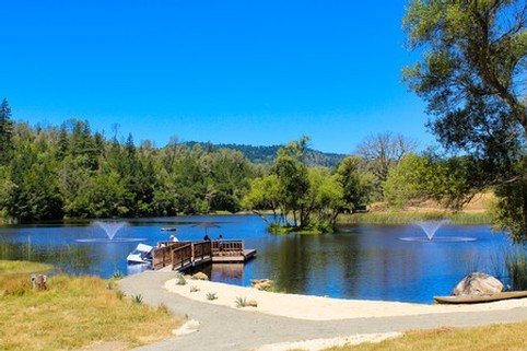Scenic view of Maxville Winery with a pond, fountain, and lush greenery under a clear blue sky.