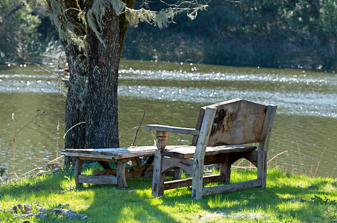 Rustic wooden bench by a riverbank with a large tree in the background.