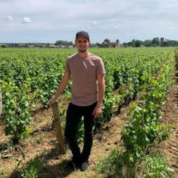 Man standing in a vineyard at Maxville Winery with green grapevines and cloudy sky.