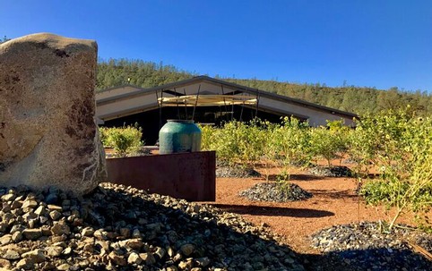 Maxville Winery vineyard with a modern building and blue sky in the background.
