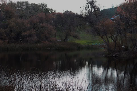 Scenic view of Maxville Winery with a pond, trees, and rolling hills in the background.
